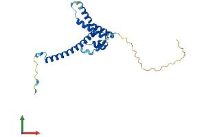 Protein Structure (PS) image for Chromosome 4 Open Reading Frame 43 (C4orf43) (AA 1-203) protein (His tag) (ABIN7544532)