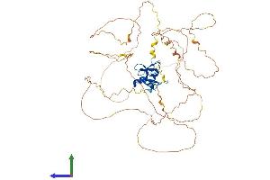 Protein Structure (PS) image for GATA Binding Protein 6 (GATA6) (AA 1-589) protein (His tag) (ABIN7563905)