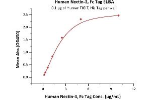 ELISA image for Nectin cell adhesion molecule 3 (NECTIN3) (AA 58-400) (Active) protein (Fc Tag) (ABIN4949138)