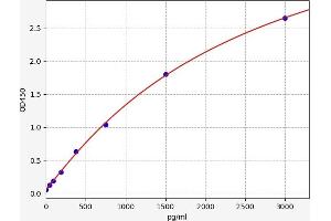 Typical standard curve (FBLN2 ELISA 试剂盒)
