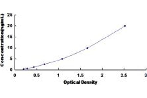 LCT ELISA 试剂盒