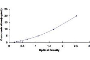 Typical standard curve (LCT ELISA 试剂盒)