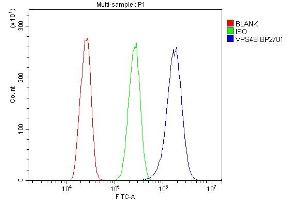 Flow Cytometry analysis of A431 cells using anti-VPS4B/MIG1 antibody (ABIN7599560).