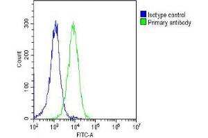 Overlay histogram showing Hela cells stained with (ABIN6242990 and ABIN6578671) (green line). (RPS4X 抗体  (AA 209-243))