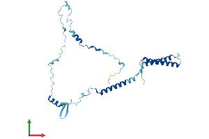 Protein Structure (PS) image for Enkurin, TRPC Channel Interacting Protein (ENKUR) (AA 1-256) protein (His tag) (ABIN7547390)