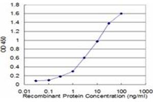Detection limit for recombinant GST tagged ENO3 is approximately 0. (ENO3 抗体  (AA 1-434))