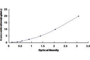 Typical standard curve (ABCC9 ELISA 试剂盒)