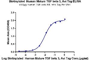 Immobilized Human TGF-beta RII, mFc Tag at 0. (TGFB3 Protein (AA 301-412) (AVI tag,Biotin))