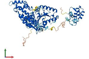 AlphaFold protein structure predicition of Human Recombinant EHD2 Protein, UniprotID Q9NZN4