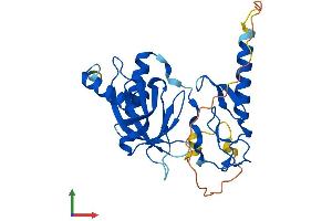 Protein Structure (PS) image for Pleckstrin Homology Domain Containing, Family F (With FYVE Domain) Member 1 (PLEKHF1) (AA 1-279) protein (His tag) (ABIN7550761)