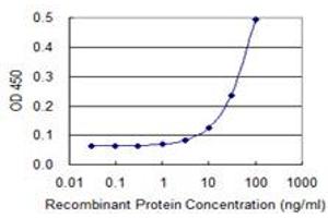 Detection limit for recombinant GST tagged MYL9 is 3 ng/ml as a capture antibody. (MYL9 抗体  (AA 1-118))