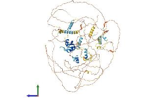 AlphaFold protein structure predicition of Mouse Recombinant Ppargc1b Protein, UniprotID Q8VHJ7 (PPARGC1B Protein (AA 1-1014) (His tag))