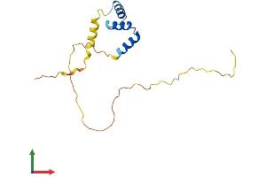 AlphaFold protein structure predicition of Human Recombinant MZT2B Protein, UniprotID Q6NZ67 (MZT2B Protein (AA 1-158) (His tag))