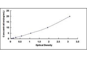 Typical standard curve (UROC1 ELISA 试剂盒)