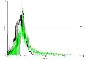 FACS analysis of negative control 293 cells (Black) and IL2RB expressing 293 cells (Green) using IL2RB purified MaxPab mouse polyclonal antibody. (IL2 Receptor beta 抗体  (AA 1-551))