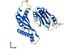 AlphaFold protein structure predicition of Mouse Recombinant Rwdd2a Protein, UniprotID Q9D9S3