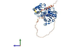 Protein Structure (PS) image for C-terminal Binding Protein 2 (CTBP2) (AA 1-445) protein (His tag) (ABIN7546813)