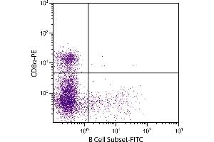 Porcine peripheral blood lymphocytes were stained with Mouse Anti-Porcine B Cell Subset-FITC. (B-Cells (Subset) 抗体 (FITC))