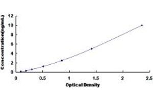 Typical standard curve (SLC25A37 ELISA 试剂盒)