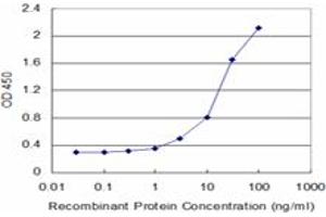 Detection limit for recombinant GST tagged RPS5 is approximately 3ng/ml as a capture antibody. (RPS5 抗体  (AA 106-204))
