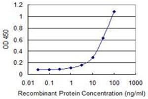 Detection limit for recombinant GST tagged TK1 is 0. (TK1 抗体  (AA 1-234))