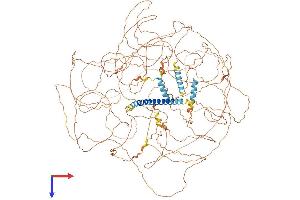 Protein Structure (PS) image for MN1 proto-oncogene (MN1) (AA 1-1320) protein (His tag) (ABIN7554566)