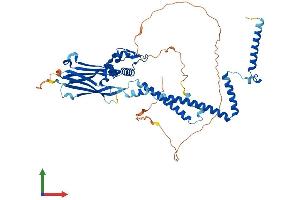 Protein Structure (PS) image for SWI/SNF Related, Matrix Associated, Actin Dependent Regulator of Chromatin, Subfamily D, Member 2 (SMARCD2) (AA 1-531) protein (His tag) (ABIN7560318)
