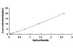 CUB Domain Containing Protein 1 (CDCP1) ELISA Kit
