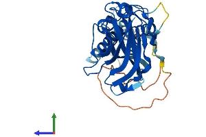 Protein Structure (PS) image for Axin Interactor, Dorsalization Associated (AIDA) (AA 1-306) protein (His tag) (ABIN7551992)