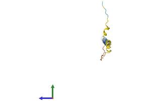 AlphaFold protein structure predicition of Human Recombinant LST1 Protein, UniprotID O00453