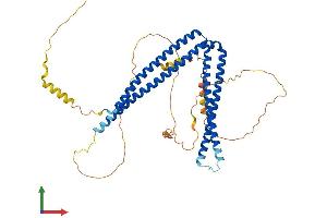 Protein Structure (PS) image for SH3-Domain Binding Protein 5 (SH3BP5) (AA 1-463) protein (His tag) (ABIN7556373)