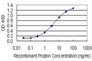 Detection limit for recombinant GST tagged AKR1C1 is 0. (AKR1C1 抗体  (AA 1-110))