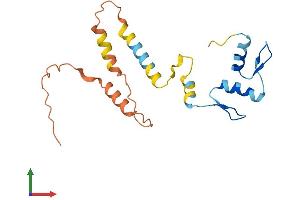 AlphaFold protein structure predicition of Human Recombinant ZNF826P Protein, UniprotID Q6ZT77