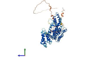 Protein Structure (PS) image for T-Complex 11, Testis-Specific (TCP11) (AA 1-503) protein (His tag) (ABIN7544363)