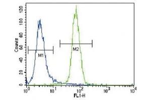 RUNX2 antibody flow cytometric analysis of NCI-H460 cells (right histogram) compared to a negative control (left histogram).