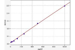 Typical standard curve (AGRP ELISA 试剂盒)