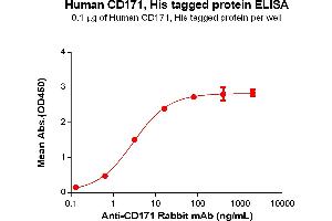 ELISA plate pre-coated by 1 μg/mL (100 μL/well) Human CD171 Protein, His Tag(ABIN6964088, ABIN7042431 and ABIN7042432) can bind Anti-CD171 Rabbit mAb in a linear range of 0.