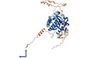 Protein Structure (PS) image for Family with Sequence Similarity 113, Member A (FAM113A) (AA 1-449) protein (His tag) (ABIN7557987)