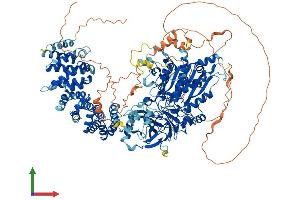 AlphaFold protein structure predicition of Mouse Recombinant Agtpbp1 Protein, UniprotID Q641K1