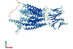 Protein Structure (PS) image for Solute Carrier Family 15 (Oligopeptide Transporter), Member 1 (SLC15A1) (AA 1-709) protein (His tag) (ABIN7561552)