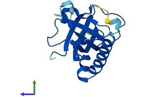 Protein Structure (PS) image for Riboflavin Kinase (RFK) (AA 1-155) protein (His tag) (ABIN7559314)