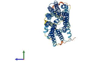 Protein Structure (PS) image for Solute Carrier Family 46 (Folate Transporter), Member 1 (SLC46A1) (AA 1-459) protein (His tag) (ABIN7554916)