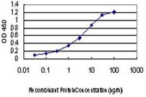 Detection limit for recombinant GST tagged BUB1 is approximately 0. (BUB1 抗体  (AA 1-130))