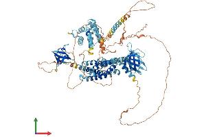 AlphaFold protein structure predicition of Human Recombinant ARHGEF7 Protein, UniprotID Q14155