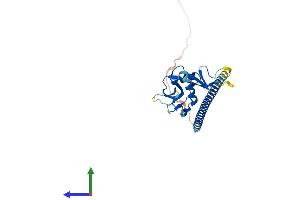 Protein Structure (PS) image for C-Type Lectin Domain Family 9, Member A (CLEC9A) (AA 1-241) protein (His tag) (ABIN7553390)