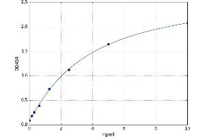 Heat Shock Protein 90kDa beta (Grp94), Member 1 (HSP90B1) ELISA Kit