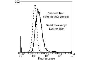 Flow Cytometry analysis using Mouse Anti-Hexanoyl-Lysine adduct Monoclonal Antibody, Clone 5D9 . (Hexanoyl-Lysine Adduct (HEL) 抗体 (PE))