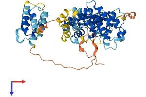 FASTK Protein (AA 1-511) (His tag)