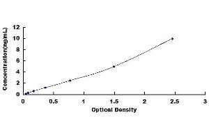 Syntaxin 11 (STX11) ELISA Kit