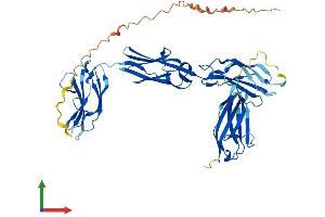 Protein Structure (PS) image for Myosin Binding Protein H (MYBPH) (AA 1-483) protein (His tag) (ABIN7556715)